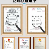 思誠(chéng) 防爆排風(fēng)扇BFAG-600防爆風(fēng)機(jī)220V/380V